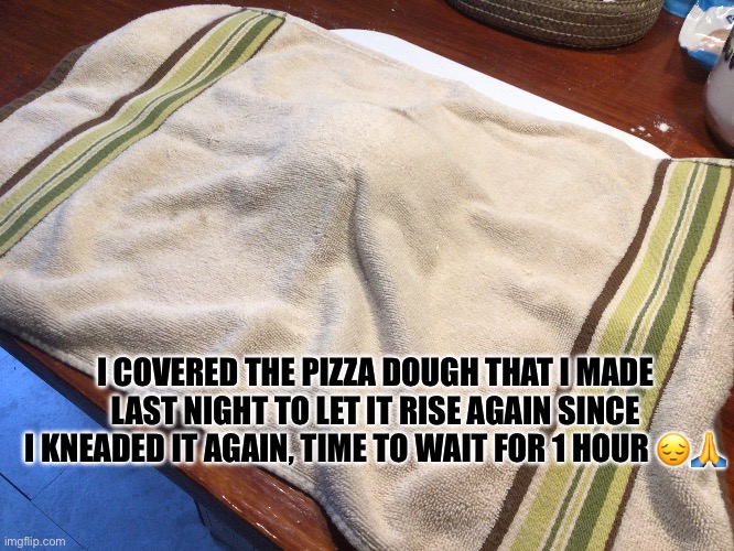 We finna put pineapple on the pizza >:3 | I COVERED THE PIZZA DOUGH THAT I MADE LAST NIGHT TO LET IT RISE AGAIN SINCE I KNEADED IT AGAIN, TIME TO WAIT FOR 1 HOUR 😔🙏 | made w/ Imgflip meme maker