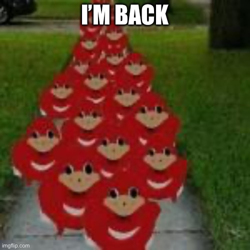Knuckles | I’M BACK | image tagged in knuckles | made w/ Imgflip meme maker