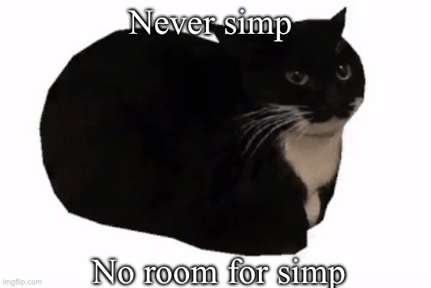 maxwell the cat | Never simp No room for simp | image tagged in maxwell the cat | made w/ Imgflip meme maker