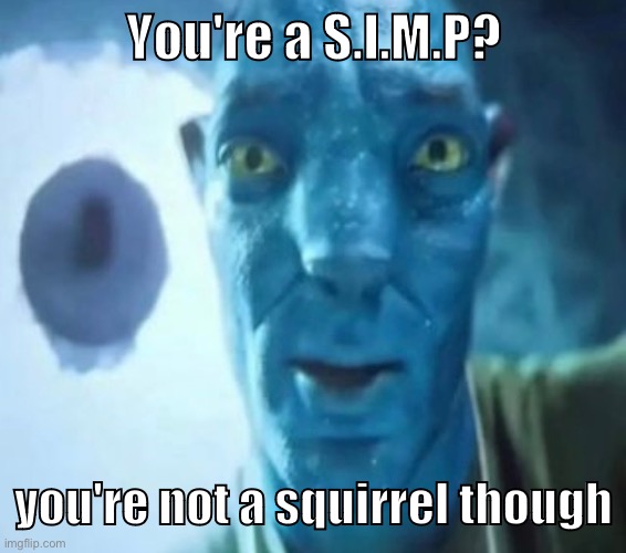 great song | You're a S.I.M.P? you're not a squirrel though | image tagged in avatar guy | made w/ Imgflip meme maker