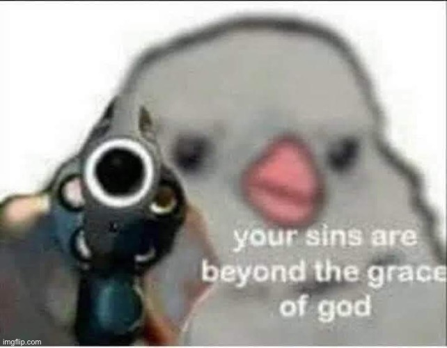 Your sins are beyond the grace of God bird | image tagged in your sins are beyond the grace of god bird | made w/ Imgflip meme maker
