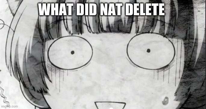 Or,post | WHAT DID NAT DELETE | image tagged in confused anime girl | made w/ Imgflip meme maker