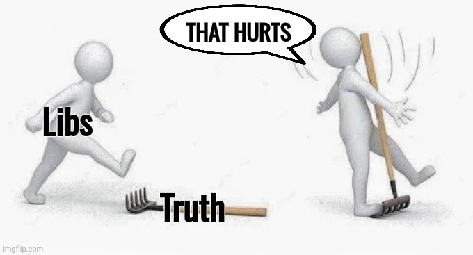 Wow , that just keeps happening | THAT HURTS; Libs; Truth | image tagged in truth hurts,stupid liberals,truth challenged,ouch,help i accidentally,have a nice trip | made w/ Imgflip meme maker
