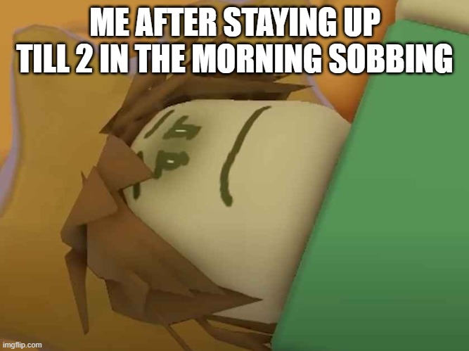 ME AFTER STAYING UP TILL 2 IN THE MORNING SOBBING | made w/ Imgflip meme maker