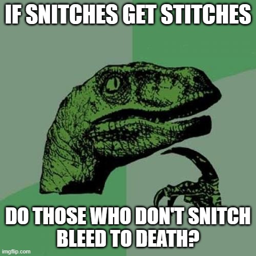 Philosoraptor on snitches and stitches | IF SNITCHES GET STITCHES; DO THOSE WHO DON'T SNITCH
BLEED TO DEATH? | image tagged in memes,philosoraptor,snitches get stitches,bleeding,death | made w/ Imgflip meme maker