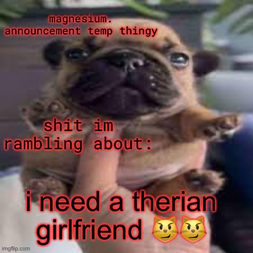 pug temp | i need a therian girlfriend 😼😼 | image tagged in pug temp | made w/ Imgflip meme maker