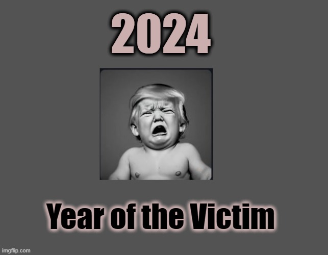Donald Trump - Victim of the Year | 2024; Year of the Victim | image tagged in nevertrump,baby,dump trump | made w/ Imgflip meme maker