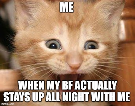 Excited Cat | ME; WHEN MY BF ACTUALLY STAYS UP ALL NIGHT WITH ME | image tagged in memes,excited cat | made w/ Imgflip meme maker