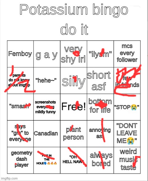 Potassium bingo | image tagged in potassium bingo | made w/ Imgflip meme maker