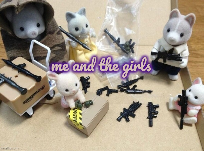 Sylvanian danger | me and the girls | image tagged in sylvanian trrorists | made w/ Imgflip meme maker