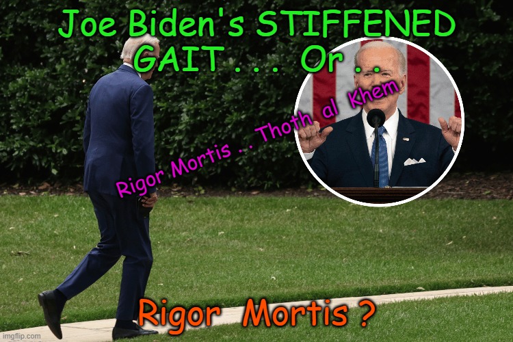 Joe Biden is dead already! | Joe Biden's STIFFENED GAIT . . .  Or . . Rigor Mortis . . Thoth  al  Khem; Rigor  Mortis ? | image tagged in biden died,biden the traitor,biden might be dead already,people are idiots,go woke go broke | made w/ Imgflip meme maker