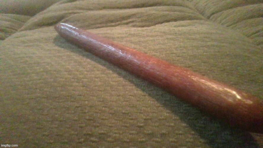 beef stick | image tagged in food | made w/ Imgflip meme maker