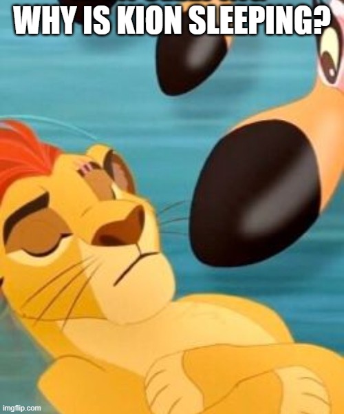 Kion sleeping for no reason | WHY IS KION SLEEPING? | image tagged in kion sleeping for no reason | made w/ Imgflip meme maker