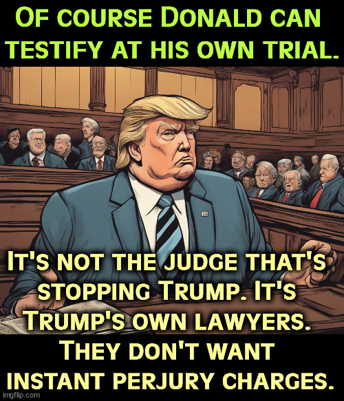 Donald's such a liar, he'd perjure himself under oath in half a minute. | Of course Donald can 
testify at his own trial. It's not the judge that's 
stopping Trump. It's 
Trump's own lawyers. 
They don't want 
instant perjury charges. | image tagged in trump,liar,perjury | made w/ Imgflip meme maker