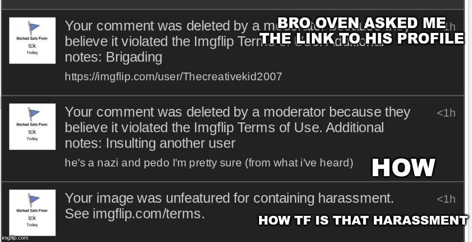 https://imgflip.com/i/8oth6k im now site wide comment banned for 8 hours (I'm not banned anymore now) | BRO OVEN ASKED ME THE LINK TO HIS PROFILE; HOW; HOW TF IS THAT HARASSMENT | made w/ Imgflip meme maker