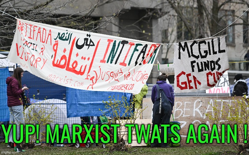 The Marxist Moron's Support Terror: It's in their blood | YUP! MARXIST TWATS AGAIN ! | made w/ Imgflip meme maker