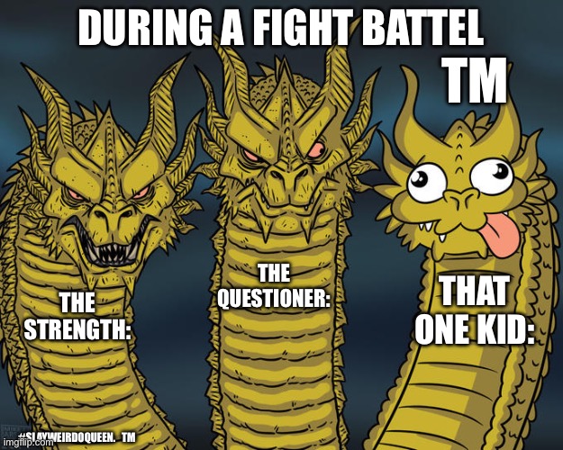 Three-headed Dragon | DURING A FIGHT BATTEL; TM; THE QUESTIONER:; THAT ONE KID:; THE STRENGTH:; #SLAYWEIRDOQUEEN.   TM | image tagged in three-headed dragon | made w/ Imgflip meme maker