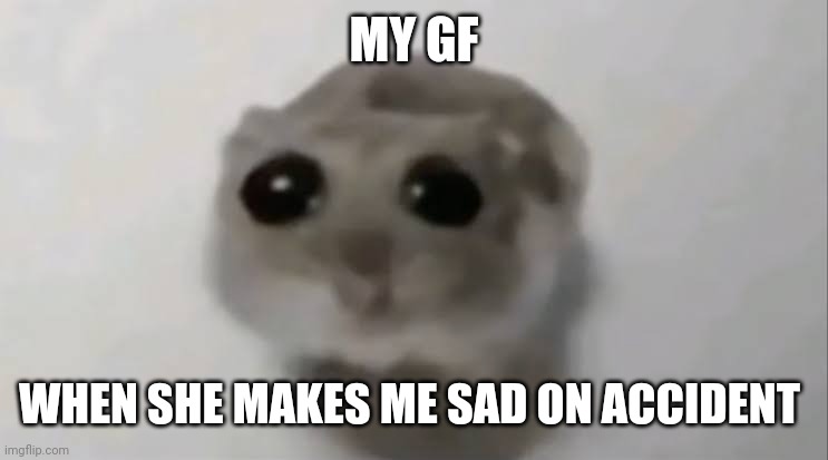 Sad Hamster | MY GF; WHEN SHE MAKES ME SAD ON ACCIDENT | image tagged in sad hamster | made w/ Imgflip meme maker