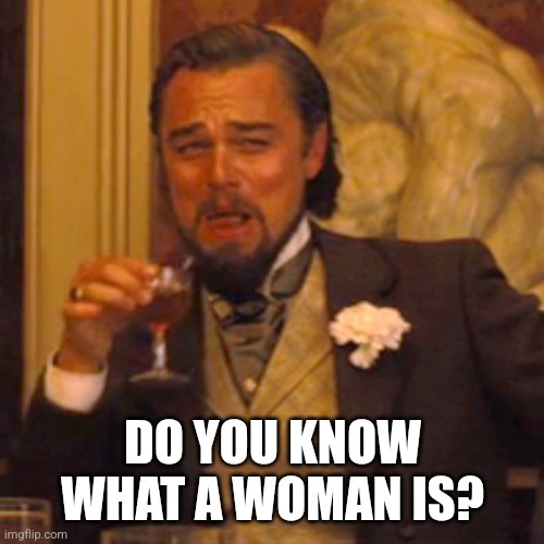 Laughing Leo Meme | DO YOU KNOW WHAT A WOMAN IS? | image tagged in memes,laughing leo | made w/ Imgflip meme maker