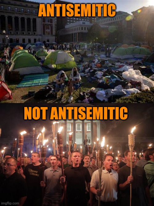 MAGAt republiscum definitions | ANTISEMITIC; NOT ANTISEMITIC | image tagged in palestinian protesters,white supremacists in charlottesville | made w/ Imgflip meme maker