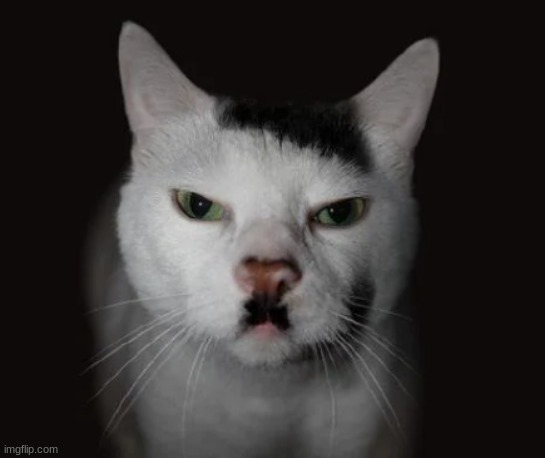 Kitler | image tagged in kitler | made w/ Imgflip meme maker