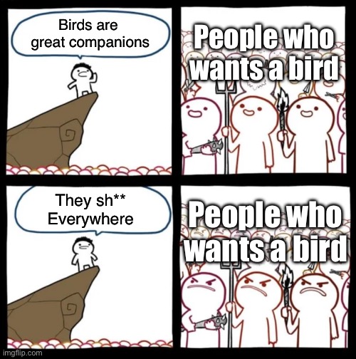 People who loves birbs | People who wants a bird; Birds are 
great companions; People who wants a bird; They sh**
Everywhere | image tagged in cliff announcement,birb,birds,bird | made w/ Imgflip meme maker