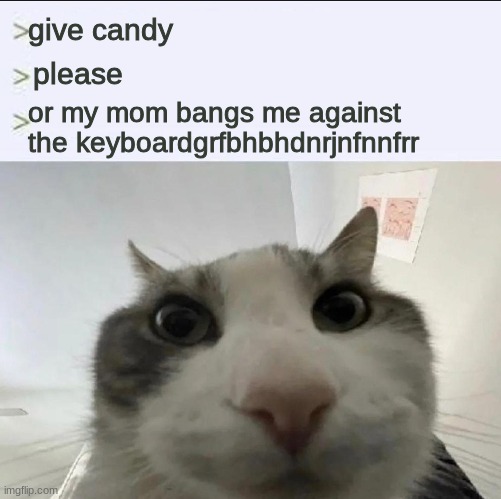 Cat looks inside | give candy; please; or my mom bangs me against the keyboardgrfbhbhdnrjnfnnfrr | image tagged in cat looks inside | made w/ Imgflip meme maker