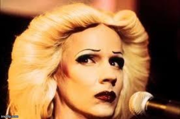 Hedwig | image tagged in hedwig | made w/ Imgflip meme maker