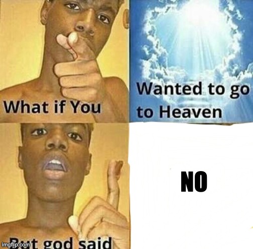 What if? | NO | image tagged in what if you wanted to go to heaven | made w/ Imgflip meme maker