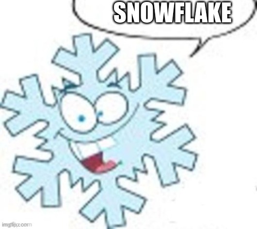Snowflake says | SNOWFLAKE | image tagged in snowflake says | made w/ Imgflip meme maker