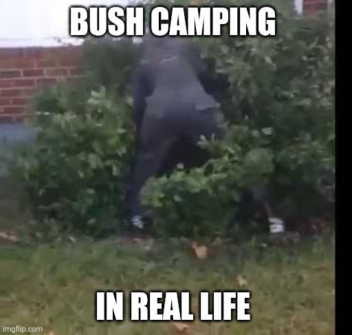 fortnit bush | BUSH CAMPING; IN REAL LIFE | image tagged in fortnit bush | made w/ Imgflip meme maker