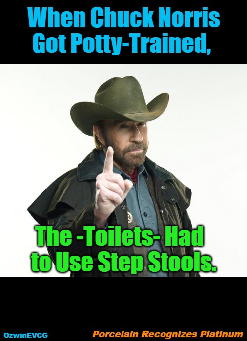 Porcelain Recognizes Platinum | When Chuck Norris Got Potty-Trained, The -Toilets- Had  

to Use Step Stools. Porcelain Recognizes Platinum; OzwinEVCG | image tagged in memes,chuck norris finger,insider information,don't norris with chuck,growing up,real talk | made w/ Imgflip meme maker