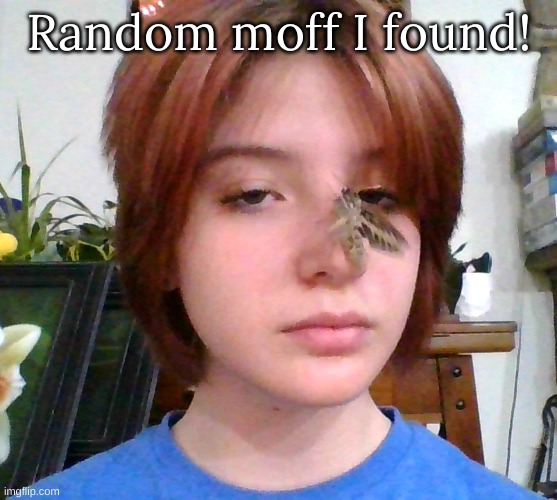Random moff I found! | image tagged in m | made w/ Imgflip meme maker