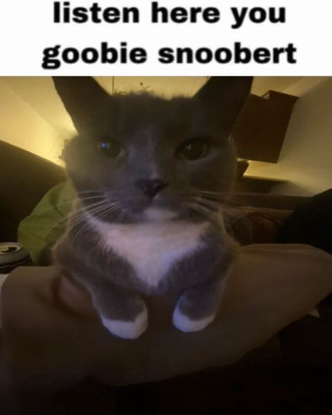 High Quality Listen here you goobie snoobert Blank Meme Template