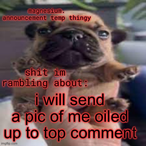 pug temp | i will send a pic of me oiled up to top comment | image tagged in pug temp | made w/ Imgflip meme maker