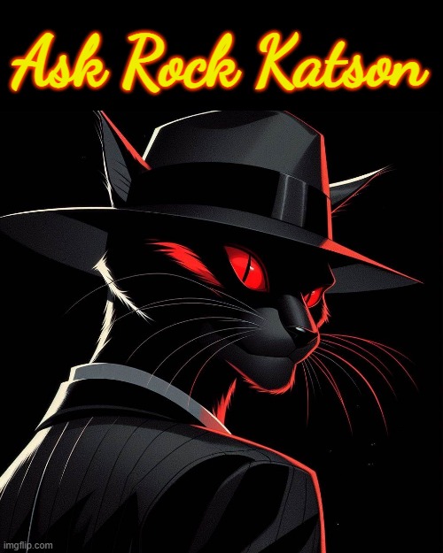 go questions about him? go ahead and ask. | Ask Rock Katson | image tagged in timezone,faq,game,idea,movie,cartoon | made w/ Imgflip meme maker