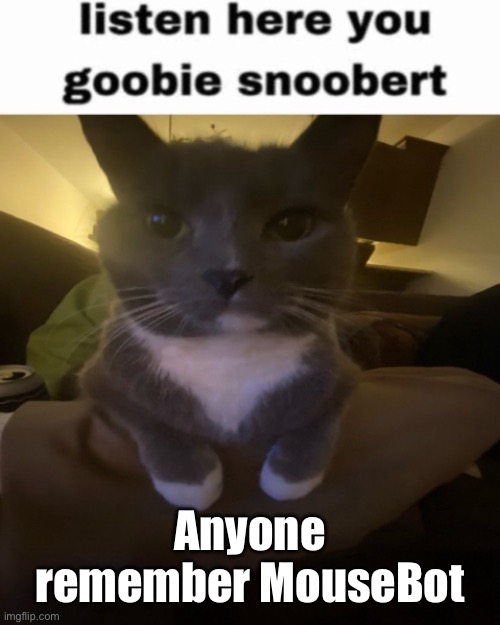 Listen here you goobie snoobert | Anyone remember MouseBot | image tagged in listen here you goobie snoobert | made w/ Imgflip meme maker