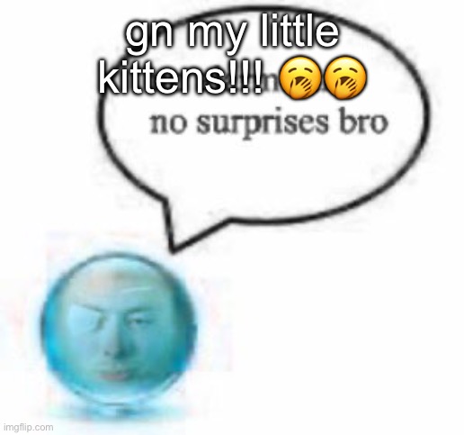 no alarms bro ball | gn my little kittens!!! 🥱🥱 | image tagged in no alarms bro ball | made w/ Imgflip meme maker