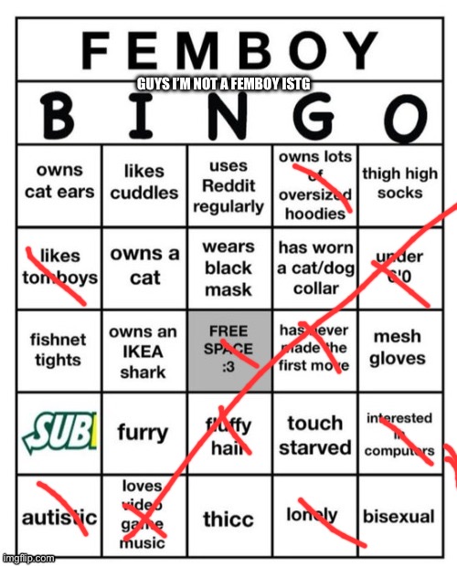 Femboy Bingo | GUYS I’M NOT A FEMBOY ISTG | image tagged in femboy bingo | made w/ Imgflip meme maker