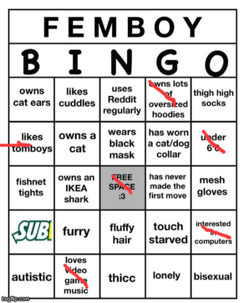 I swear I’m not a femboy | image tagged in femboy bingo | made w/ Imgflip meme maker