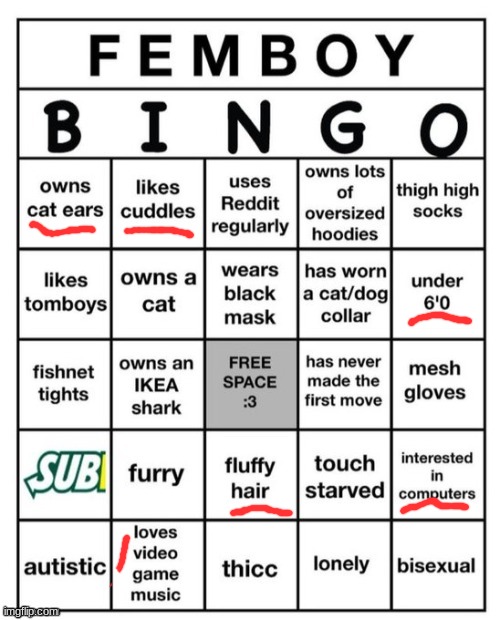 Don't listen to what the bingo says. I'm definitly a femboy. | image tagged in femboy bingo | made w/ Imgflip meme maker