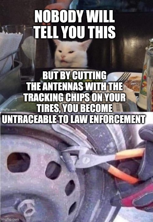 NOBODY WILL TELL YOU THIS; BUT BY CUTTING THE ANTENNAS WITH THE TRACKING CHIPS ON YOUR TIRES, YOU BECOME UNTRACEABLE TO LAW ENFORCEMENT | image tagged in smudge that darn cat | made w/ Imgflip meme maker