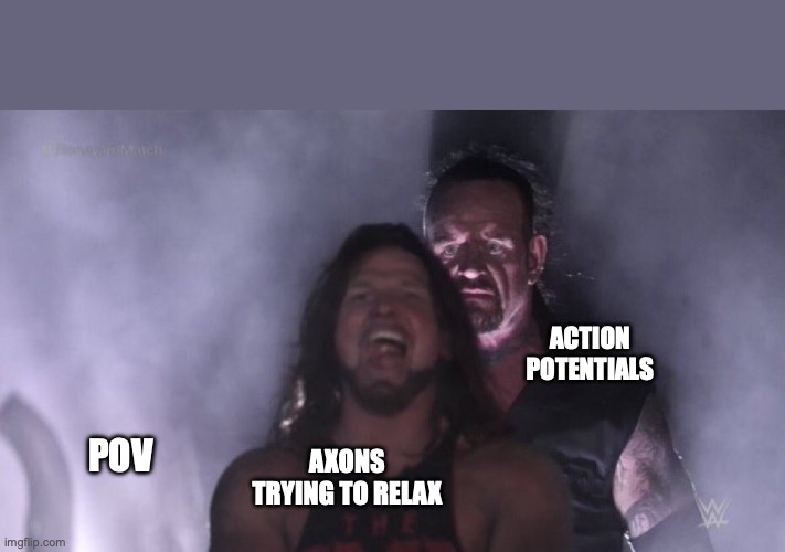 AJ Styles & Undertaker | ACTION POTENTIALS; AXONS TRYING TO RELAX; POV | image tagged in aj styles undertaker | made w/ Imgflip meme maker