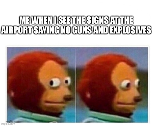 ME WHEN I SEE THE SIGNS AT THE AIRPORT SAYING NO GUNS AND EXPLOSIVES | image tagged in monkey puppet | made w/ Imgflip meme maker