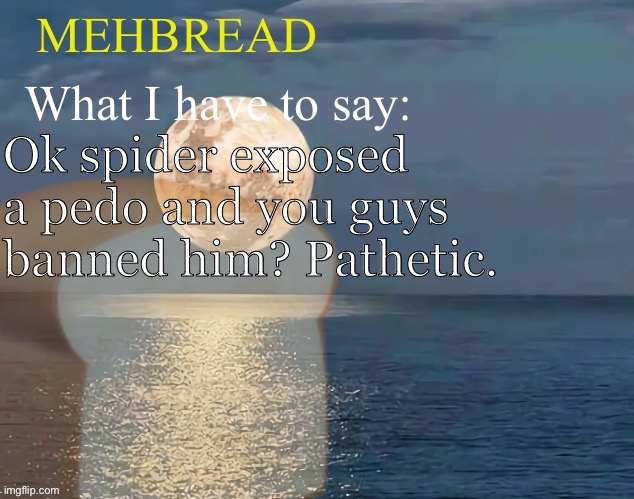 Breadnouncement 2.0 | Ok spider exposed a pedo and you guys banned him? Pathetic. | image tagged in breadnouncement 2 0 | made w/ Imgflip meme maker