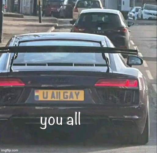 You all r gay | you all | image tagged in you all r gay | made w/ Imgflip meme maker