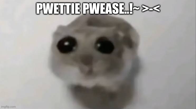 Sad Hamster | PWETTIE PWEASE..!~ >-< | image tagged in sad hamster | made w/ Imgflip meme maker