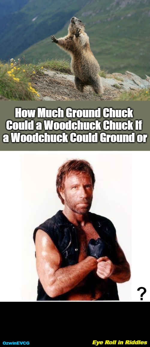 Eye Roll in Riddles | How Much Ground Chuck 

Could a Woodchuck Chuck If 

a Woodchuck Could Ground or; ? Eye Roll in Riddles; OzwinEVCG | image tagged in questions,riddle,answers,animals,humans,asking for a pun | made w/ Imgflip meme maker