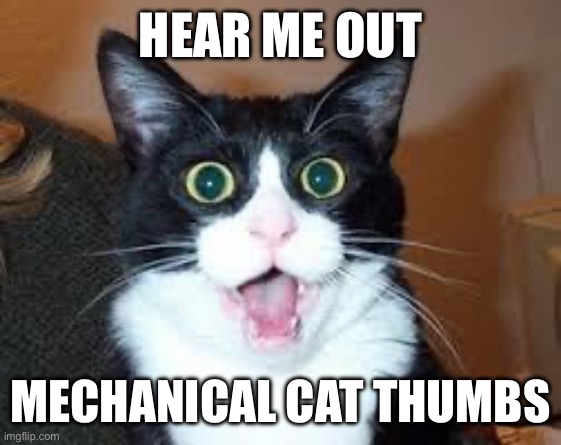 Thumbs | HEAR ME OUT; MECHANICAL CAT THUMBS | image tagged in holy shit are you sexy | made w/ Imgflip meme maker