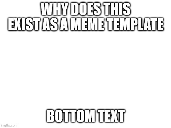 Blank White Template | WHY DOES THIS EXIST AS A MEME TEMPLATE; BOTTOM TEXT | image tagged in blank white template | made w/ Imgflip meme maker